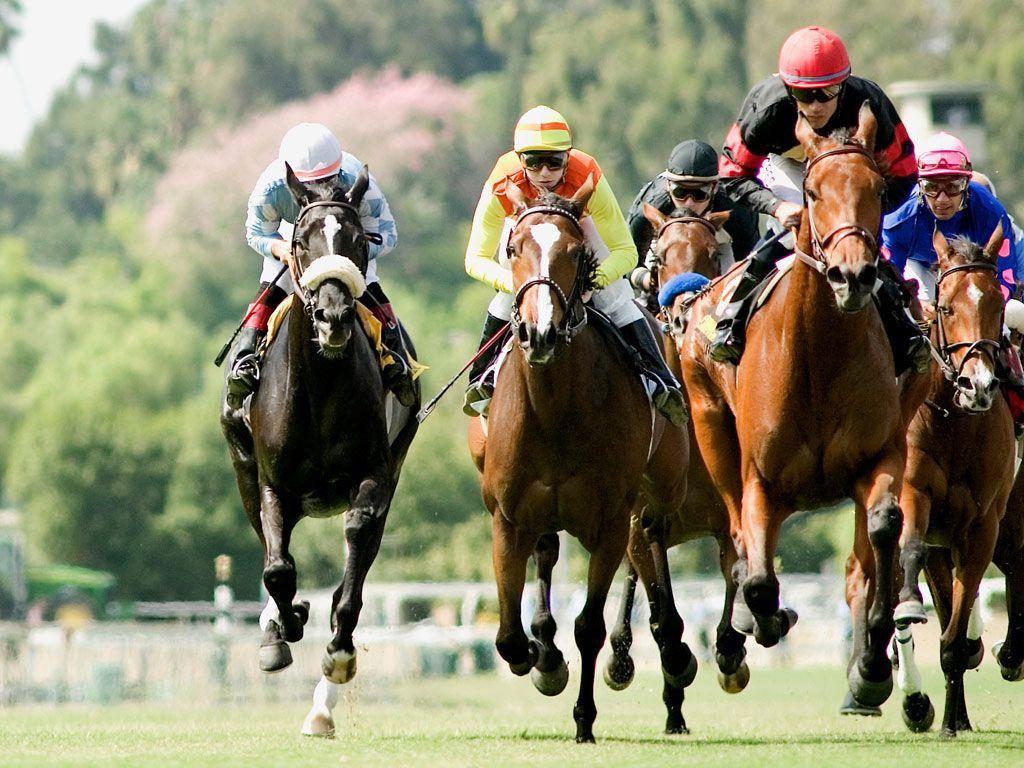 Best Bitcoin Cash Sportsbooks for Betting on Horse Racing