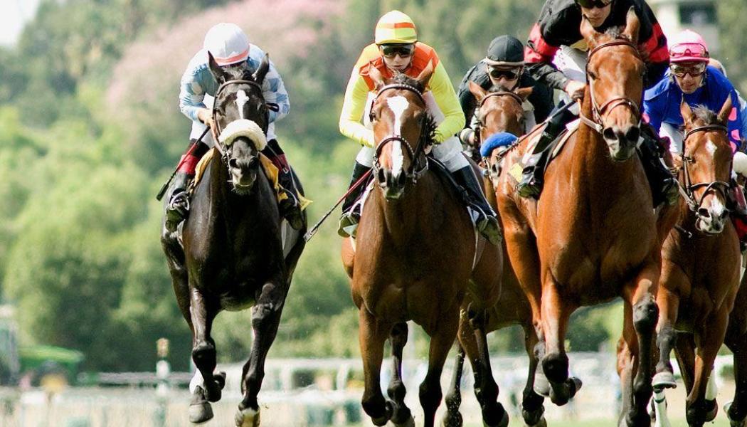 Best Bitcoin Cash Sportsbooks for Betting on Horse Racing